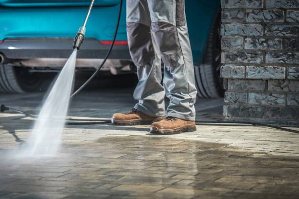 Best Boat and Dock Cleaning  in Taylor, AZ