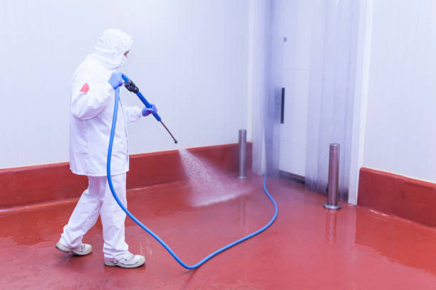 Best Spring Cleaning  in Taylor, AZ