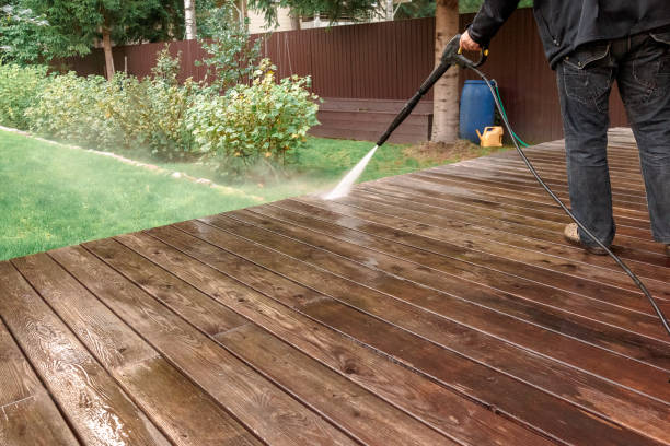 Best Animal Enclosure Cleaning  in Taylor, AZ
