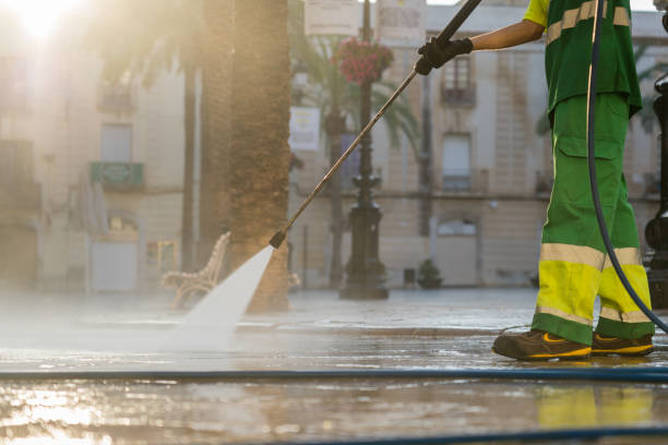 Best Sidewalk and Walkway Cleaning  in Taylor, AZ